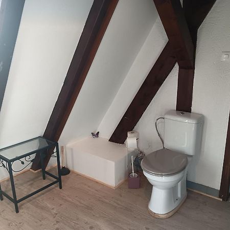Gite Les Papillons Ribeauvillé Exteriör bild