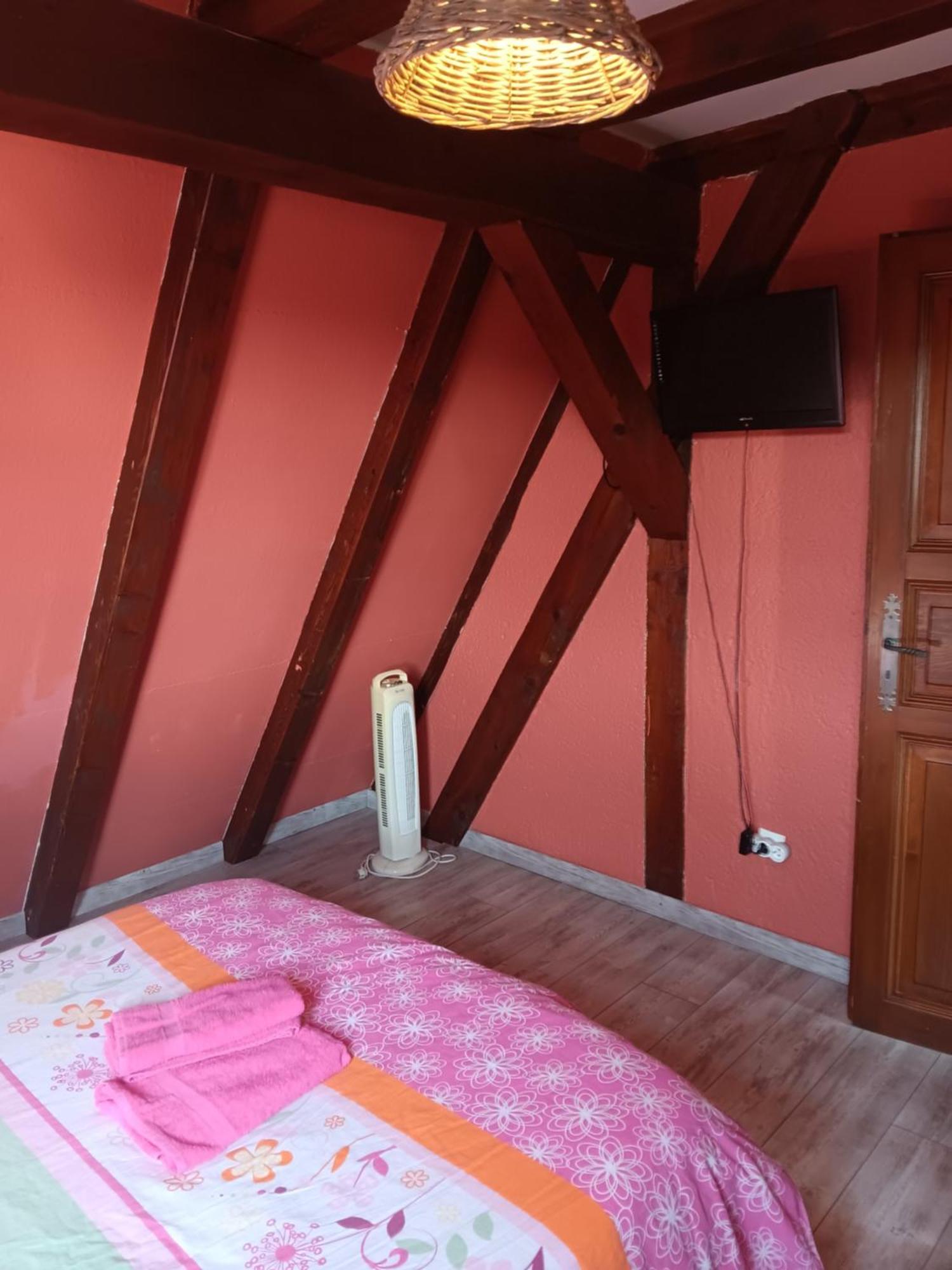 Gite Les Papillons Ribeauvillé Rum bild