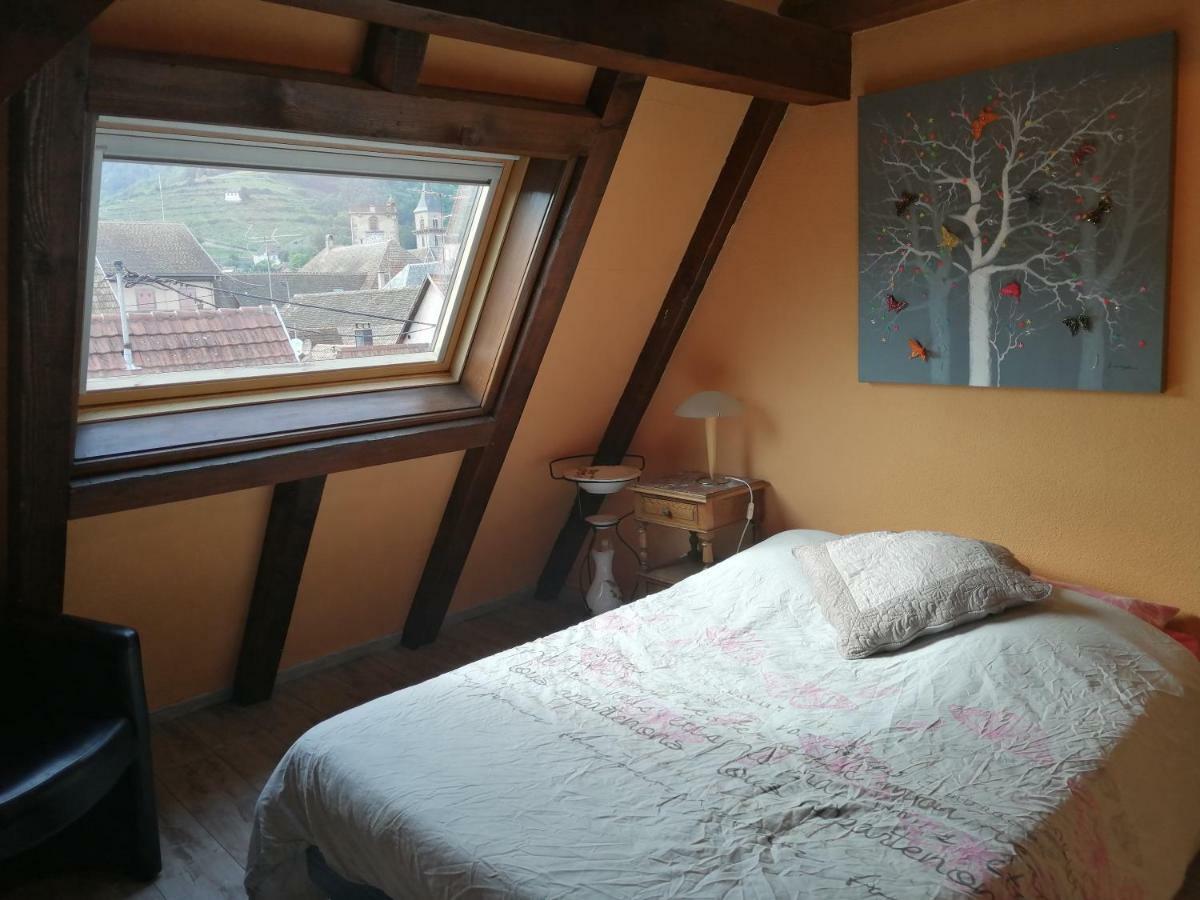 Gite Les Papillons Ribeauvillé Exteriör bild