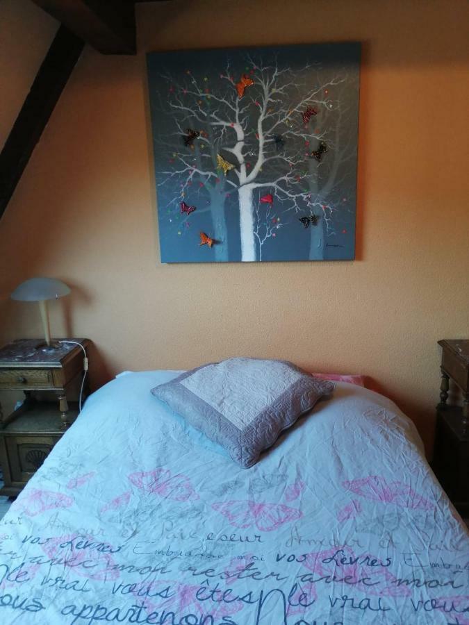 Gite Les Papillons Ribeauvillé Exteriör bild
