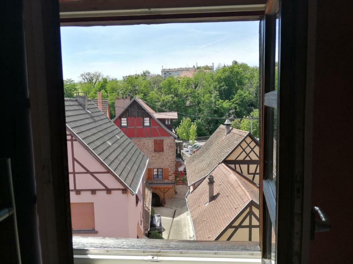 Gite Les Papillons Ribeauvillé Exteriör bild