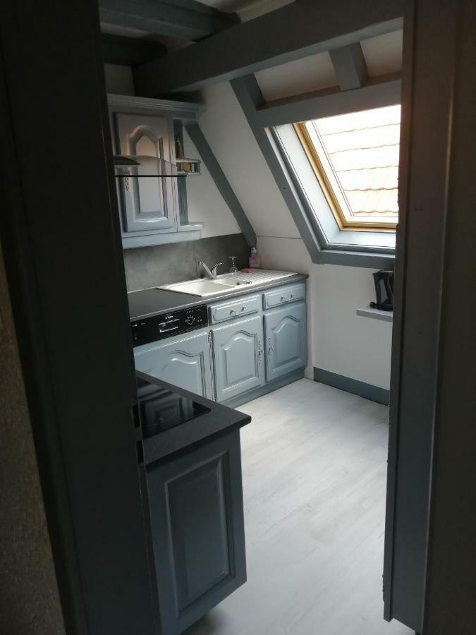 Gite Les Papillons Ribeauvillé Exteriör bild