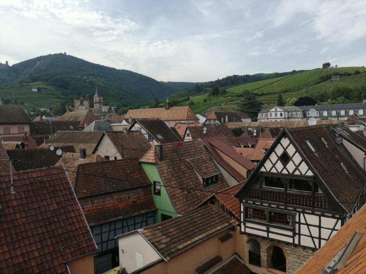 Gite Les Papillons Ribeauvillé Exteriör bild